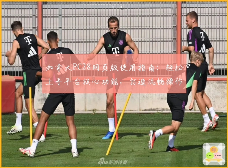 加拿大PC28网页版使用指南：轻松上手平台核心功能，打造流畅操作体验