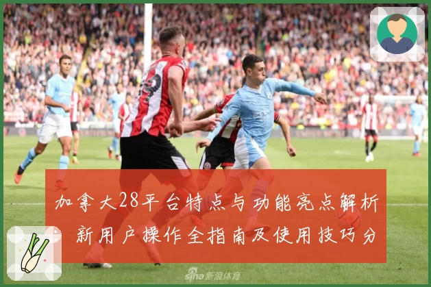 加拿大28平台特点与功能亮点解析：新用户操作全指南及使用技巧分享