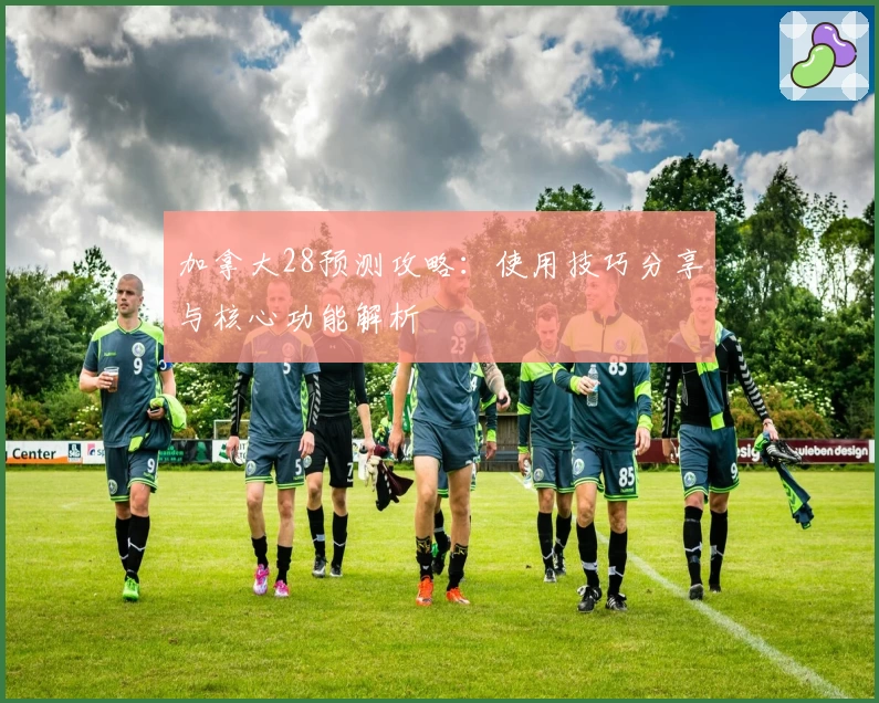 加拿大28预测攻略：使用技巧分享与核心功能解析
