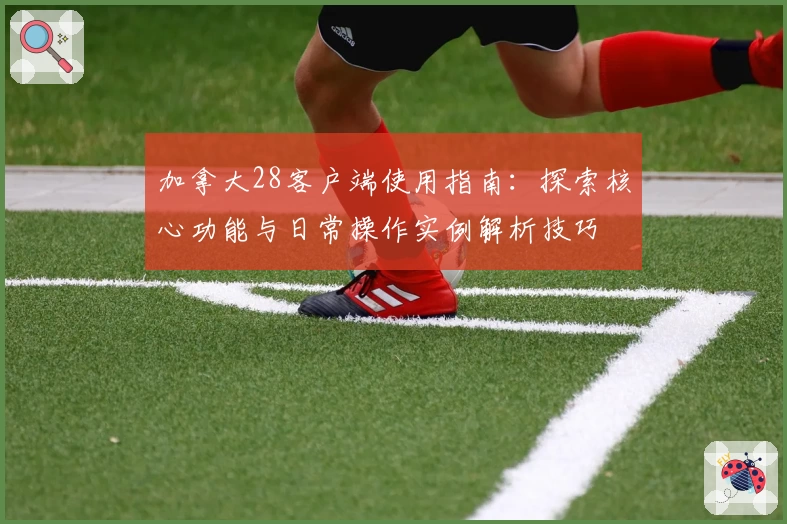 加拿大28客户端使用指南：探索核心功能与日常操作实例解析技巧