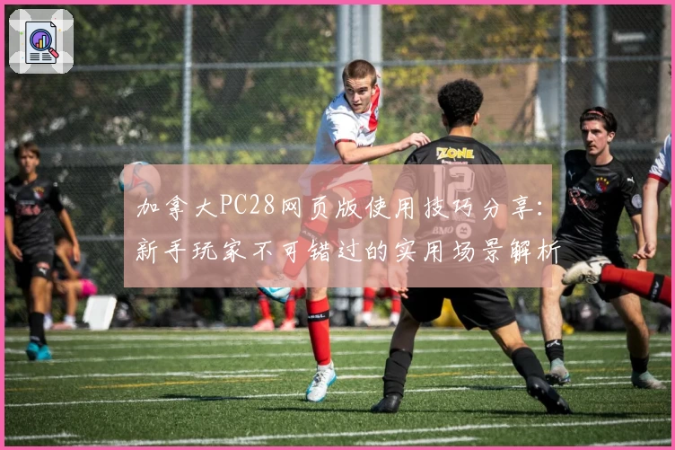 加拿大PC28网页版使用技巧分享：新手玩家不可错过的实用场景解析