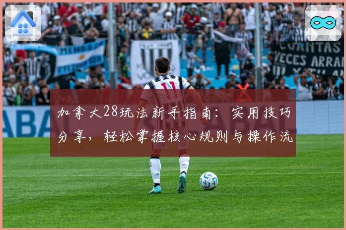 加拿大28玩法新手指南：实用技巧分享，轻松掌握核心规则与操作流程