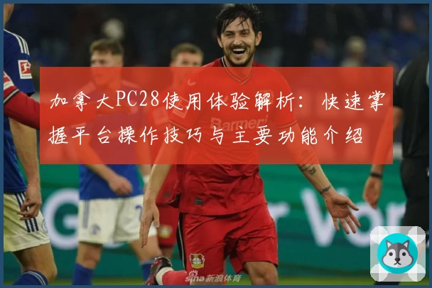加拿大PC28使用体验解析：快速掌握平台操作技巧与主要功能介绍