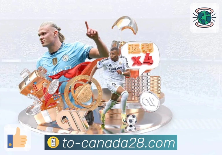 最新开奖与历史数据同步展示加拿大28